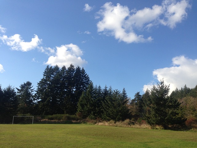 实现